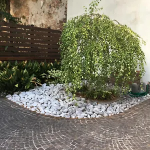 La Betulla Mantova